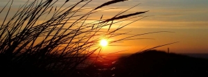 antoine.caulliez@ametasi.fr