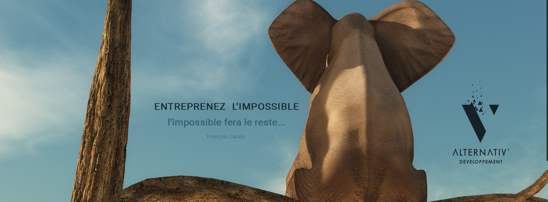 nathalie.gouin@alternativ-developpement.fr