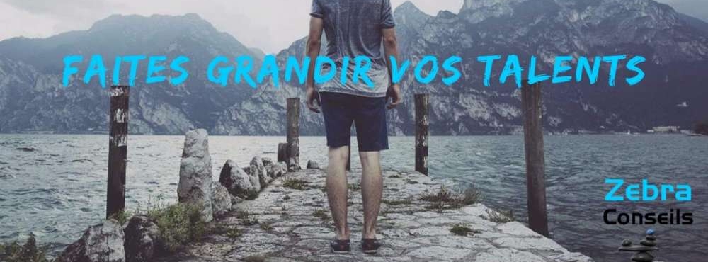 h.thomas@zebraconseils.fr