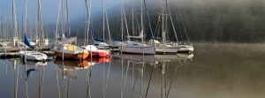 michel.scimone