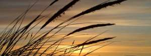 sebastien.dumont