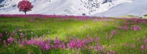 laurence.dilouya
