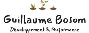 guillaume.bosom