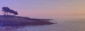 nicolas.cadic
